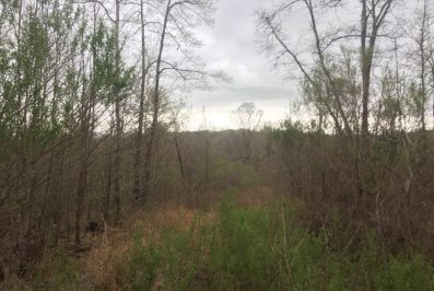 Holmes County Mississippi Hunting Land For Sale