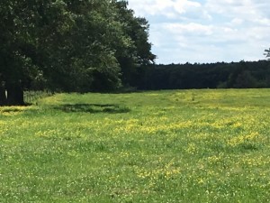 Smith County MS Poultry Farm For Sale