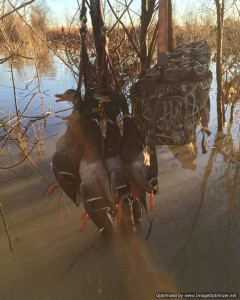 Mississippi Delta Hunting Duck Hunting Land For Sale