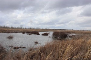 Mississippi Delta Hunting Land For Sale