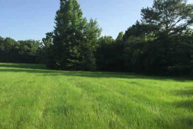 Copiah County Mississippi Pasture Land For Sale