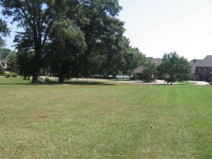 Lake Caroline Lot For Sale