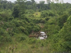 Simpson County Mississippi Hunting Land For Sale