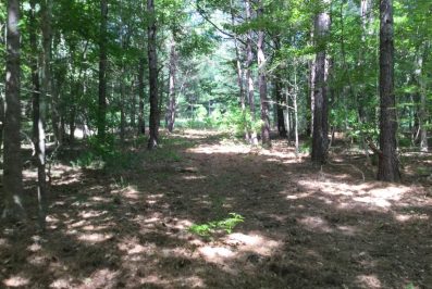Hinds County MS Land For Sale