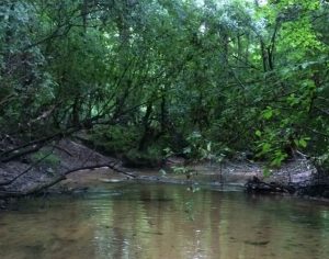 Jefferson Davis County MS Land For Sale