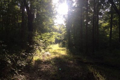 1. Leake County MS Hunting Land For Sale