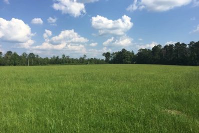 Lincoln County MS Land For Sale