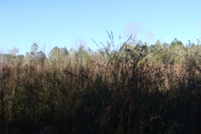 Pike County MS Residential Lots For Sale