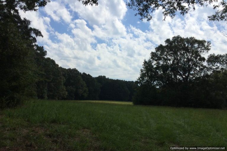 rankin-county-ms-hunting-land-for-sale
