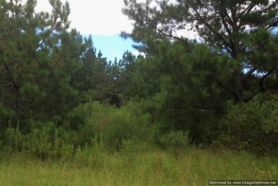 rankin-county-ms-lot-for-sale