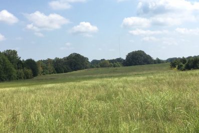 hinds-county-ms-land-for-sale