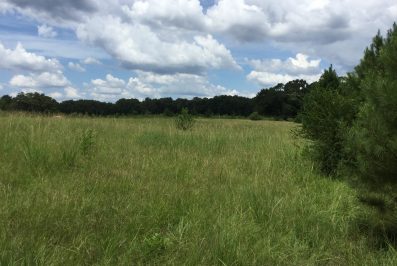 hinds-county-ms-land-for-sale