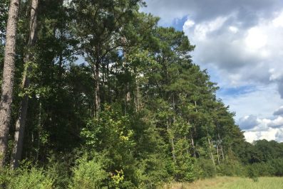 lawrence-county-ms-land-for-sale