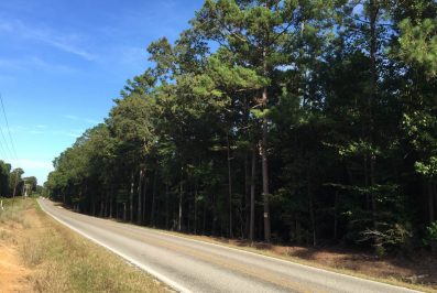 winston-county-ms-land-for-sale