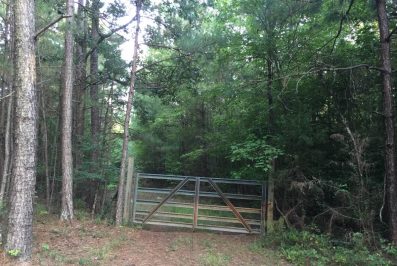 winston-county-ms-land-for-sale