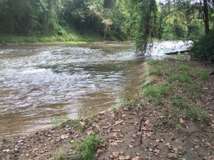 river-property-for-sale-in-simpson-county-ms