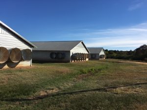 covington-county-ms-poultry-farm-for-sale