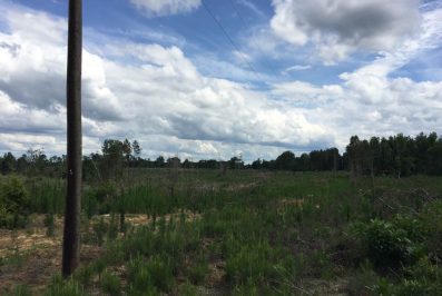 copiah-county-ms-land-for-sale
