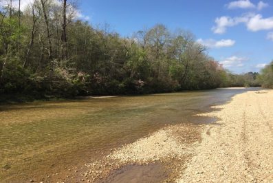 franklin-county-ms-hunting-land-for-sale