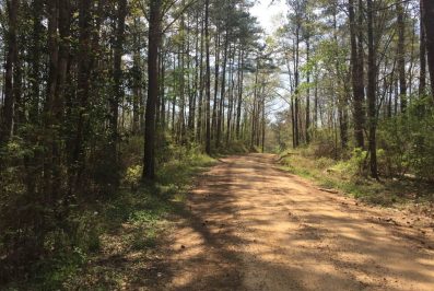 lincoln-county-ms-hunting-land-for-sale
