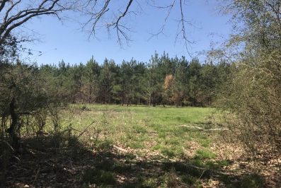 clarke-county-ms-land-for-sale