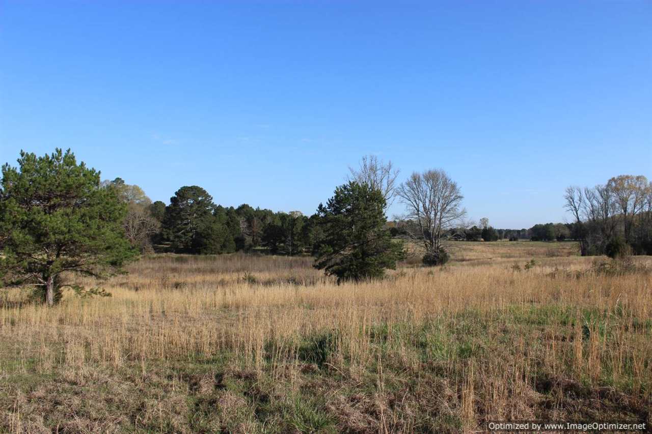 Land For Sale In Carriere Mississippi