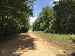 franklin-county-ms-timberland-for-sale
