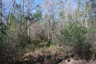 pearl-river-county-ms-land-for-sale