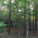 copiah-county-ms-land-for-sale