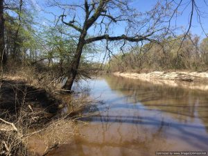 mississippi-hunting-land-for-sale