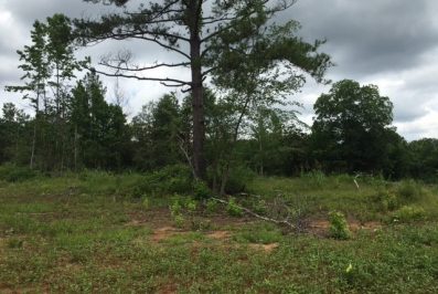 madison-county-ms-land-for-sale