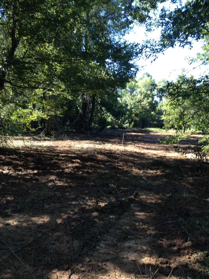 attala-county-ms-land-for-sale