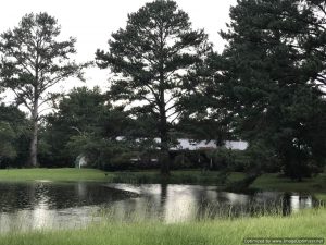 simpson-county-ms-land-and-home-for-sale