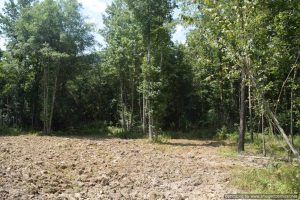 hunting-land-for-sale-in-smith-county-ms