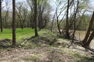 land-for-sale-in-grenada-county-ms