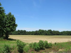 land-for-sale-in-lafayette-county-ms