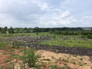 land-for-sale-in-simpson-county-ms