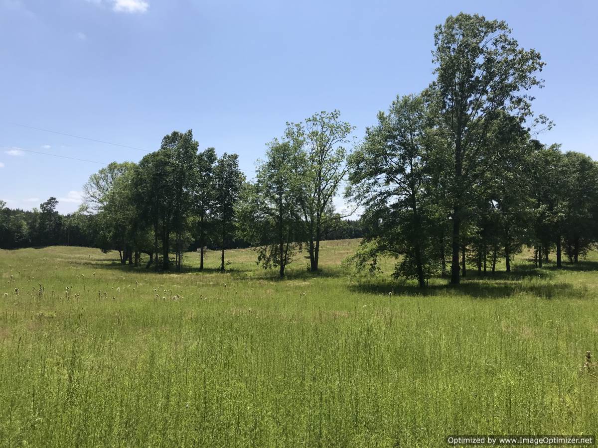 land-for-sale-in-franklin-county-ms