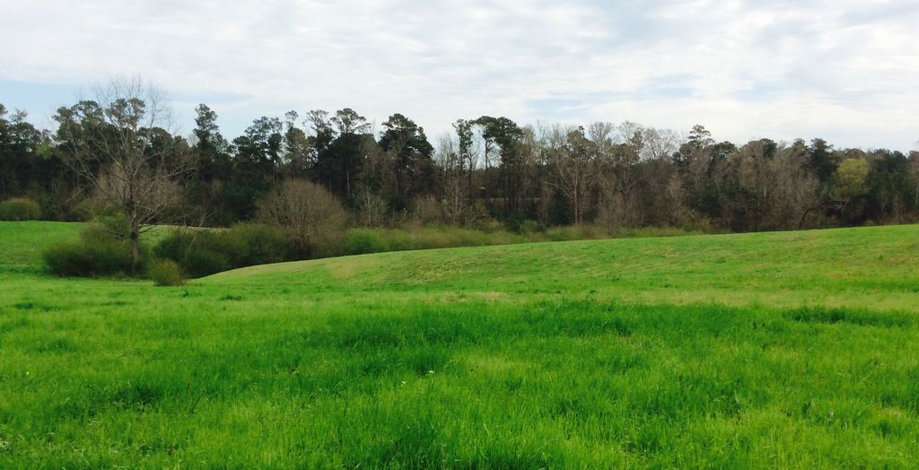 land-for-sale-in-copiah-county-ms