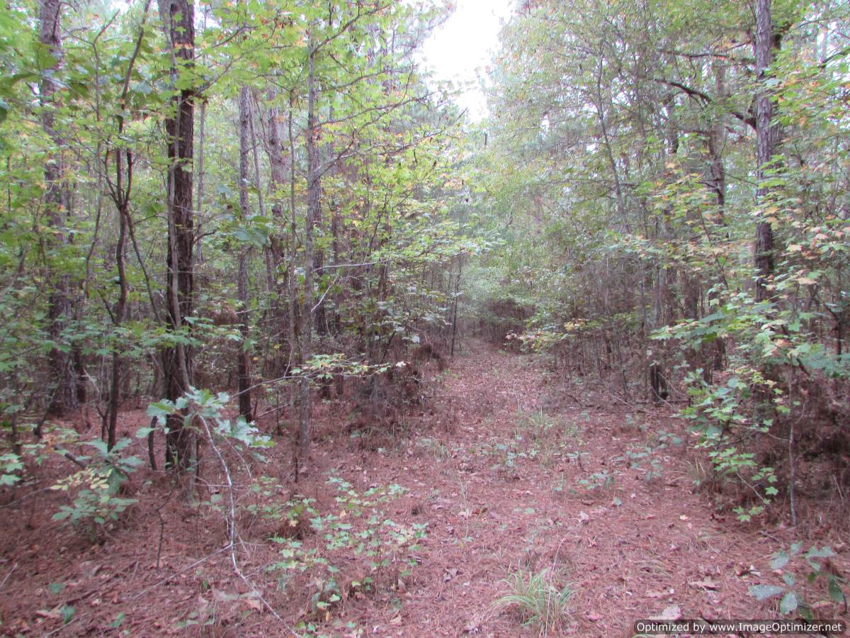 land-for-sale-in-madison-county-ms
