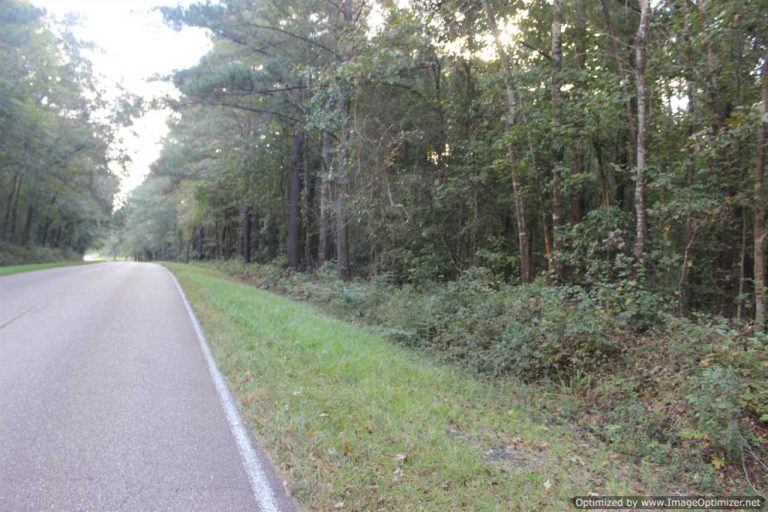 lot-for-sale-in-copiah-county-ms