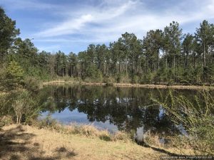 land-for-sale-in-lincoln-county-ms