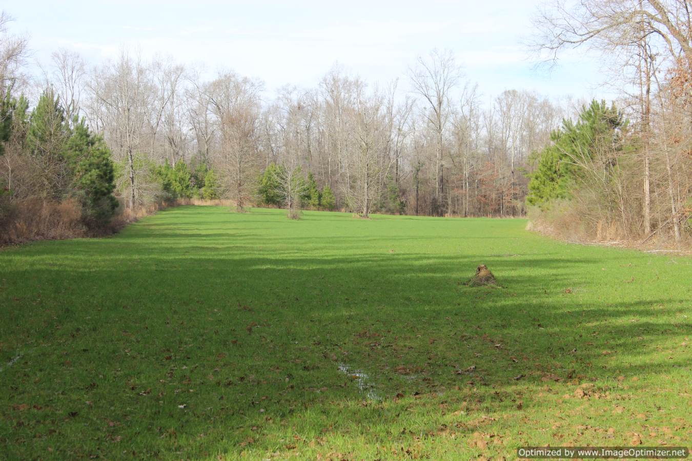 land-for-sale-in-leake-county-ms
