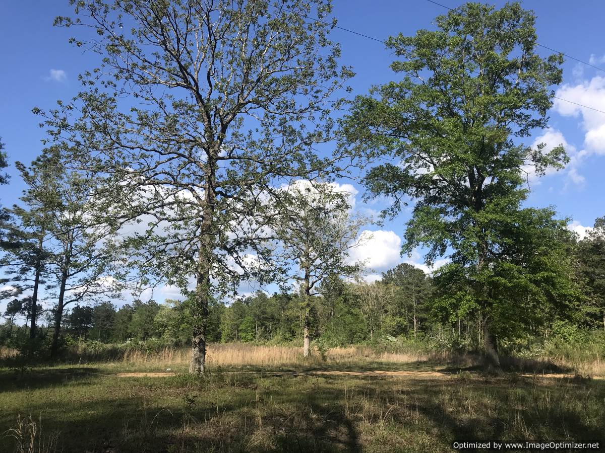 land-for-sale-in-lincoln-county-ms