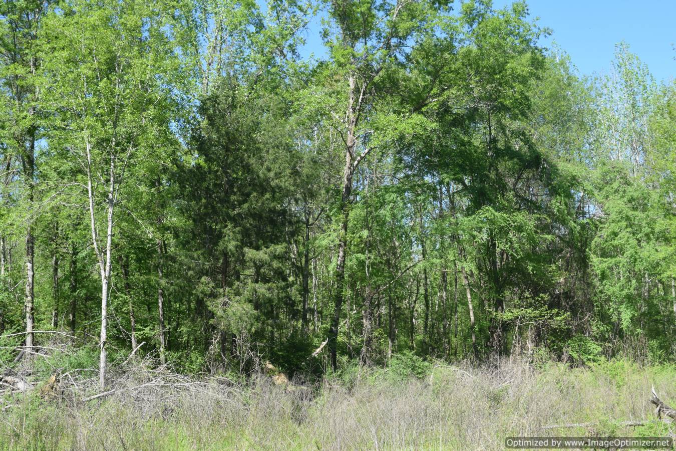 land-for-sale-in-yazoo-county-ms