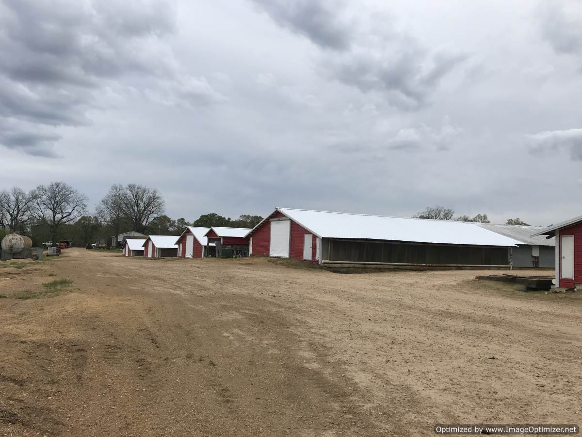 poultry-farm-for-sale-in-copiah-county-ms