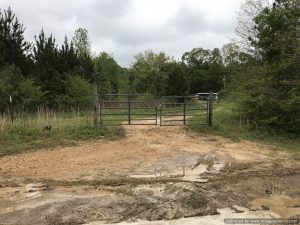 hunting-land-for-sale-in-franklin-county-ms