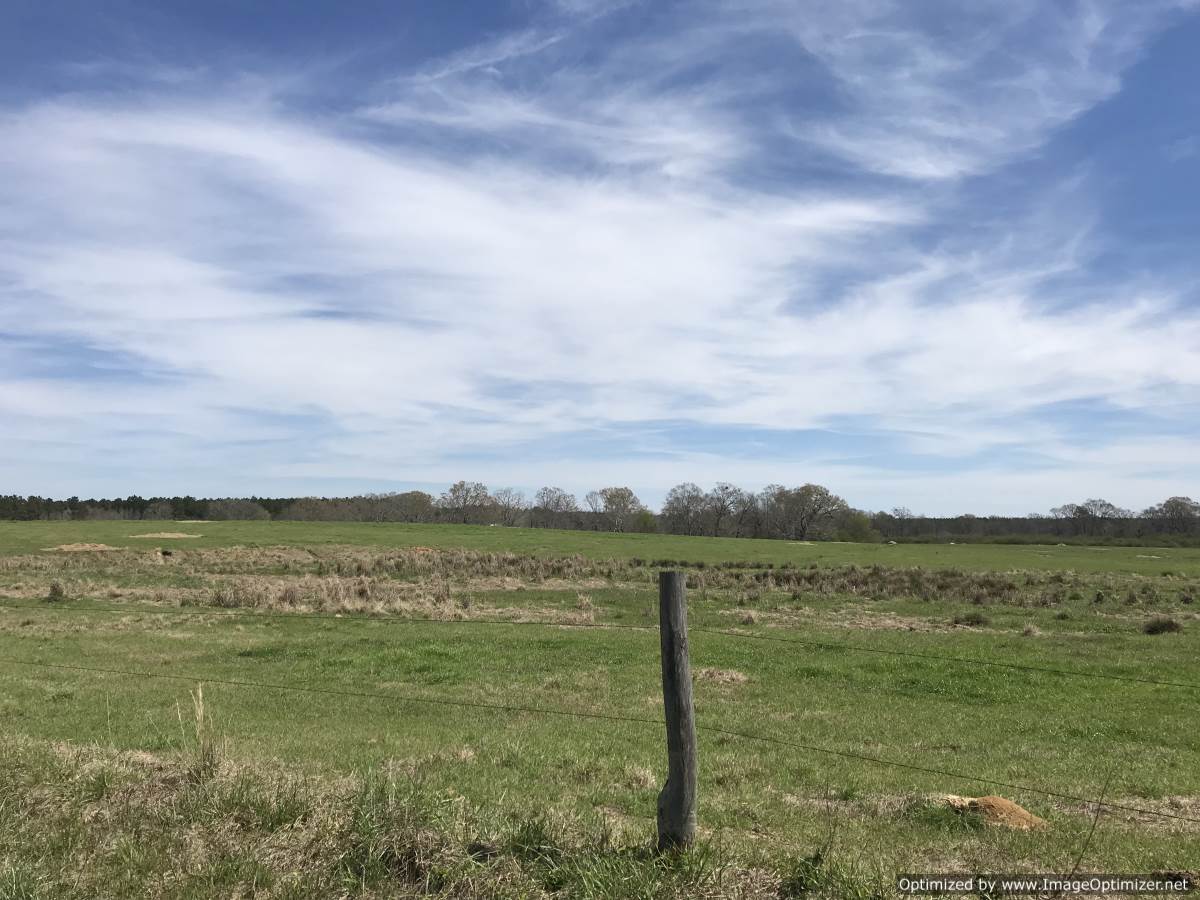 lincoln-county-ms-land-for-sale