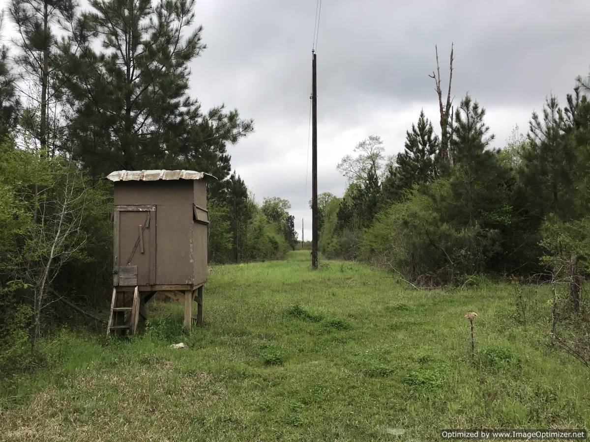 hunting-land-for-sale-in-franklin-county-ms