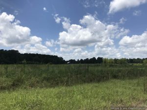 land-for-sale-in-Rankin-county-ms-pasture-land-hunting-land-Jackson-Resevoir
